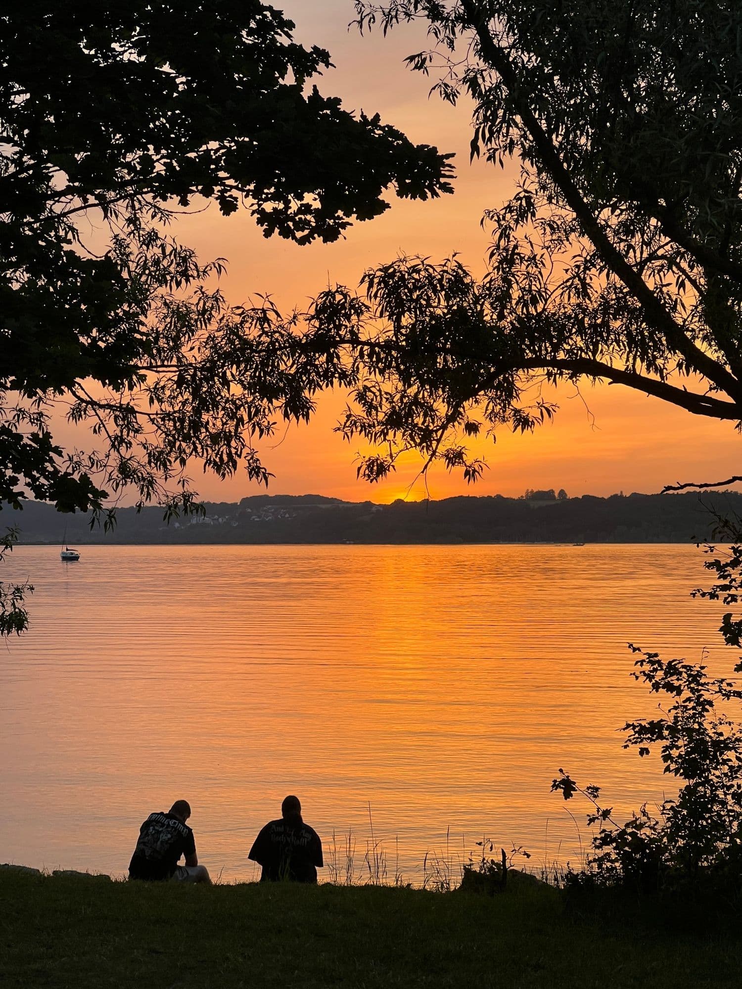 Two people sitting by the lake at sunset, framed by tree branches