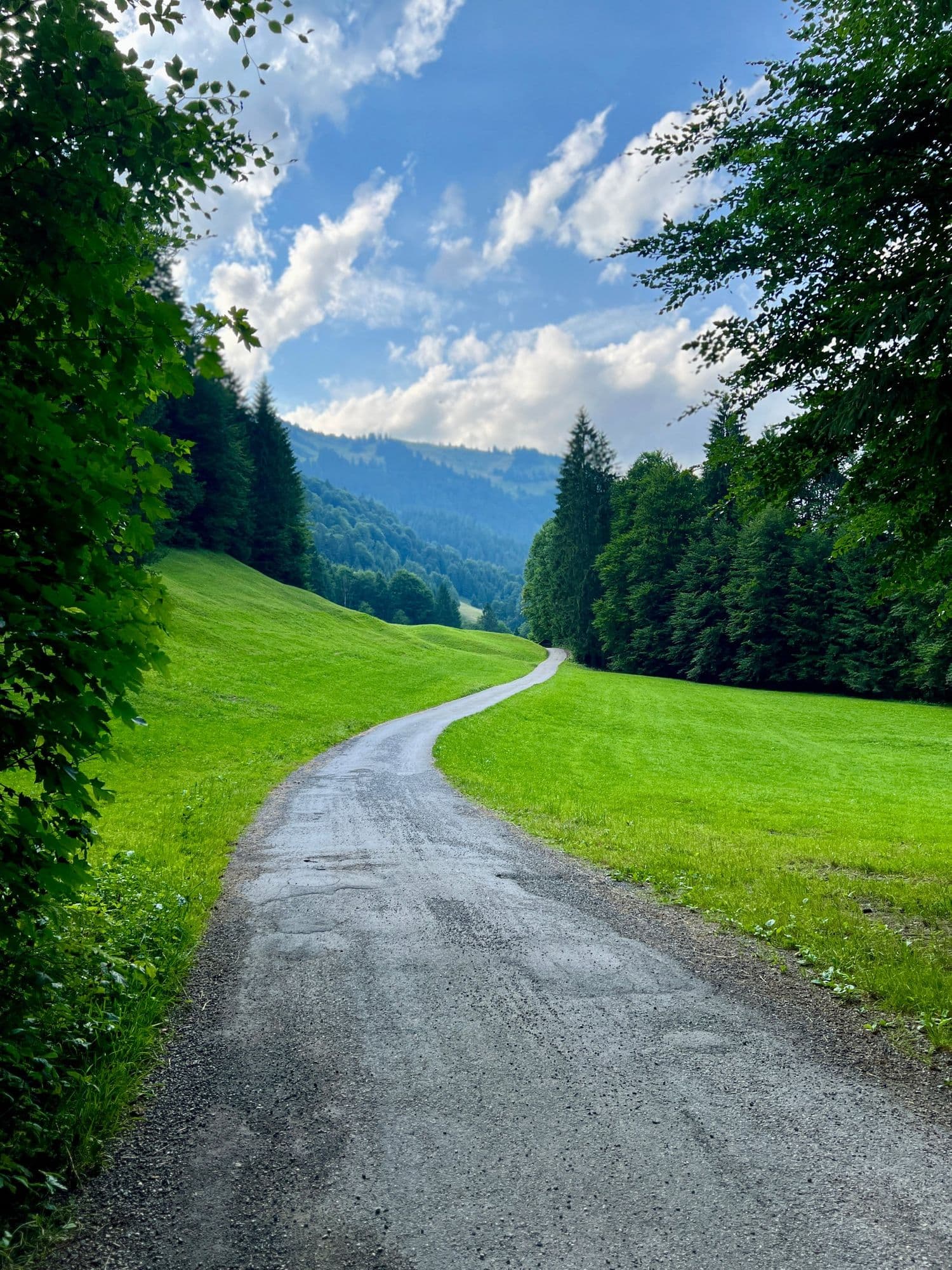 A narrow road curving through bright green fields and forest