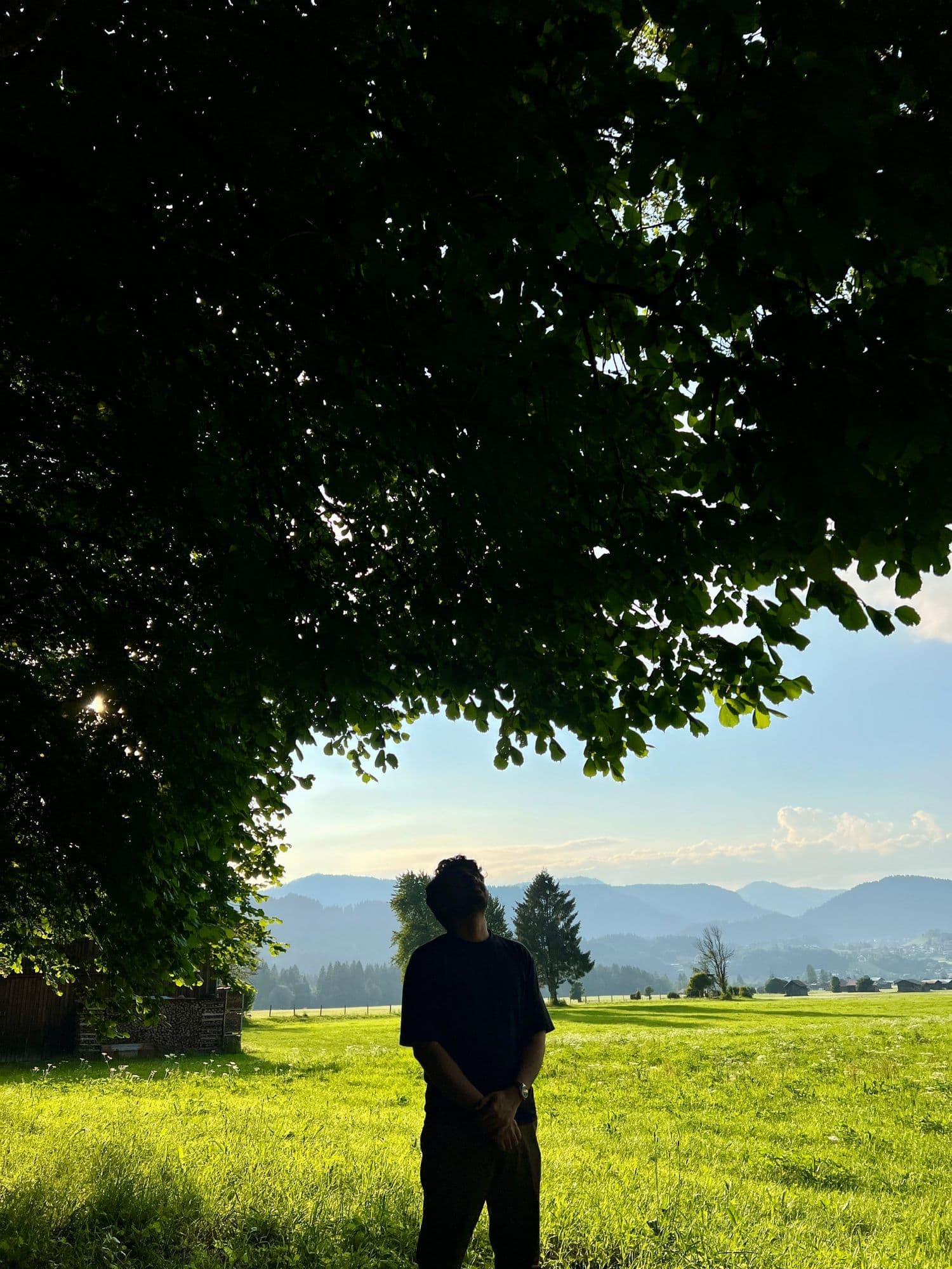 Saad standing under a large tree, looking up, with meadows and mountains behind